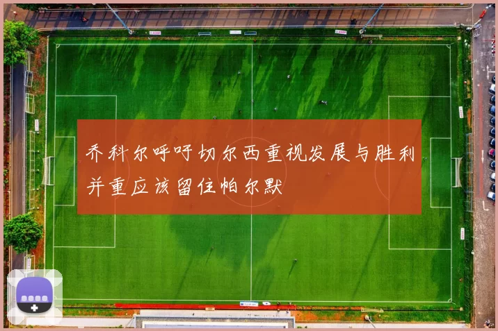 乔科尔呼吁切尔西重视发展与胜利并重应该留住帕尔默